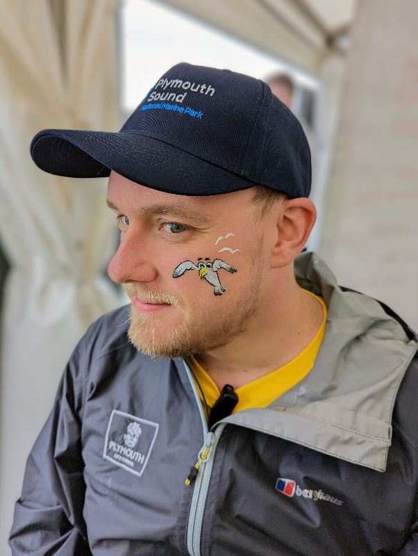 Seagull face paint