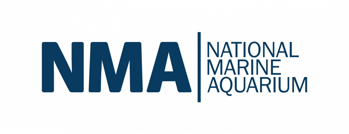National Marine Aquarium