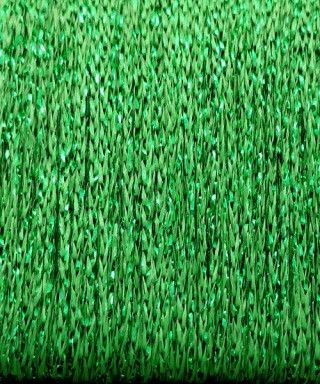034-Fern.jpg